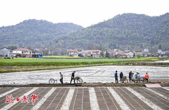 澳门新葡新京在线
