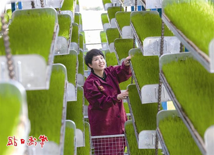 澳门新葡新京在线