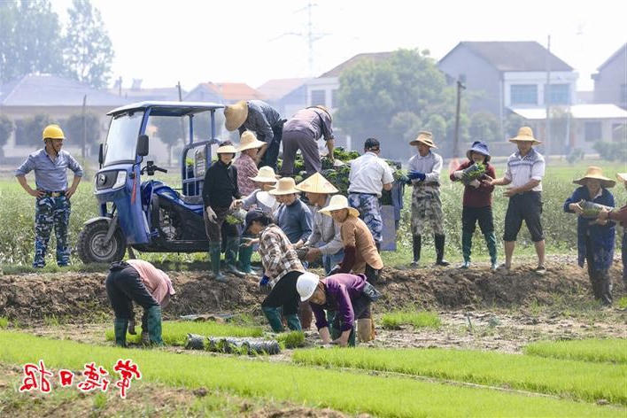 澳门新葡新京在线