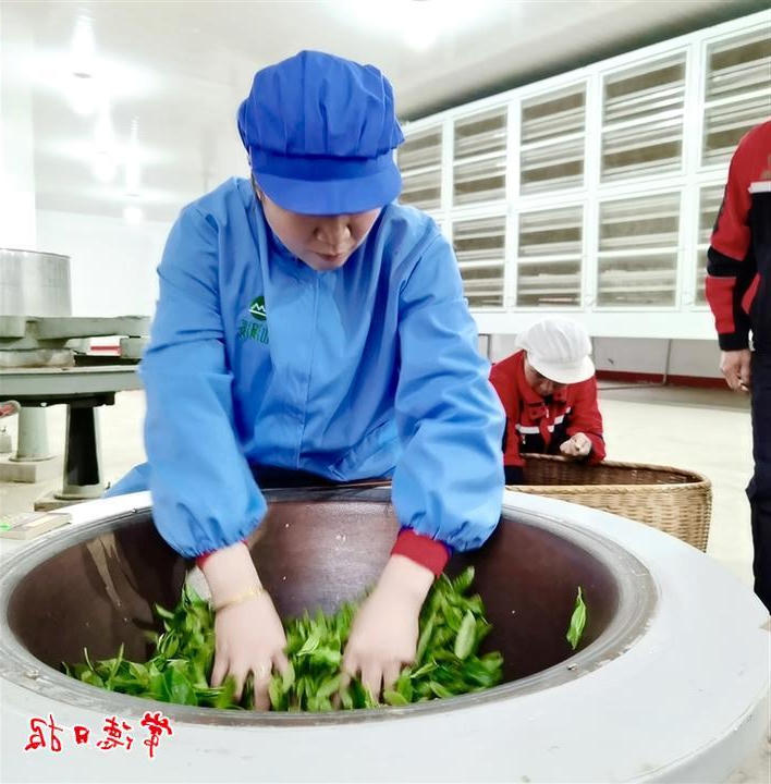 澳门新葡新京在线