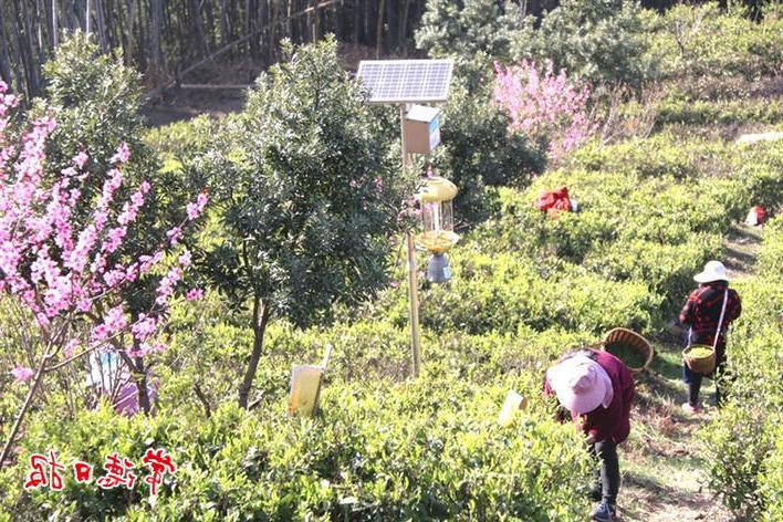 澳门新葡新京在线