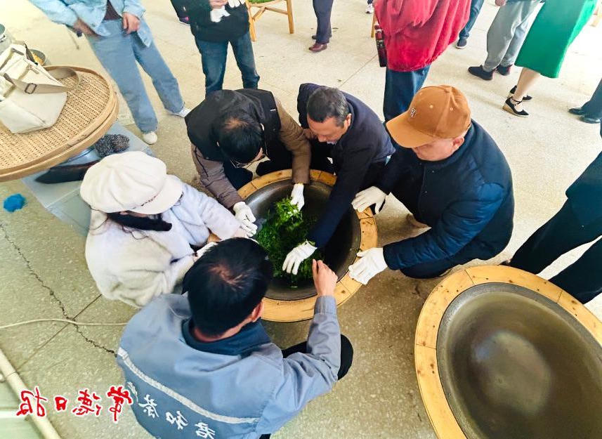澳门新葡新京在线