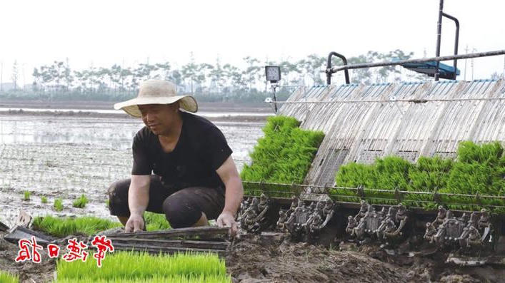 澳门新葡新京在线