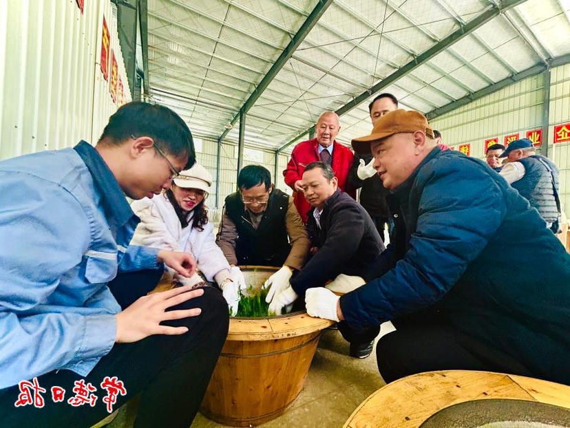 澳门新葡新京在线