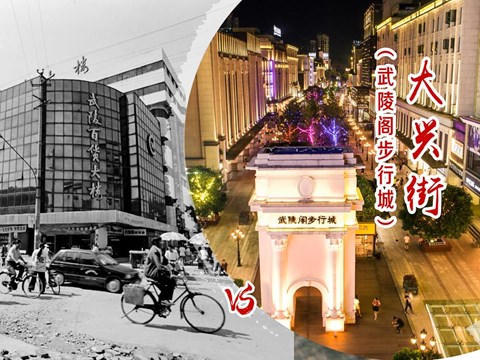 澳门新葡新京在线
