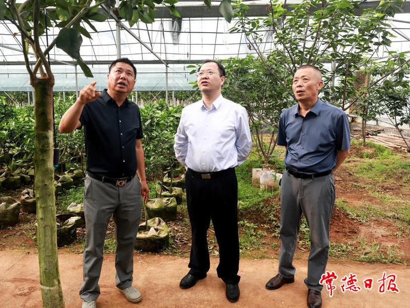 澳门新葡新京在线
