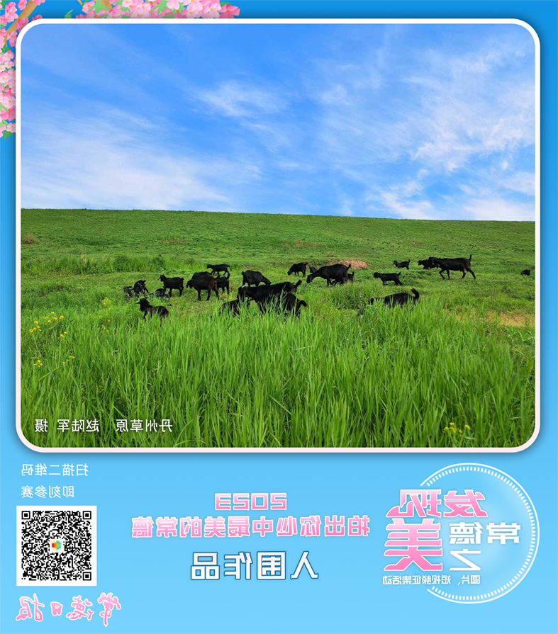 澳门新葡新京在线