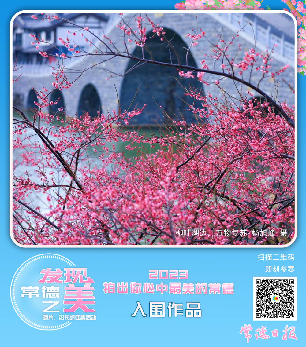澳门新葡新京在线