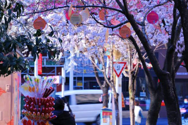 澳门新葡新京在线