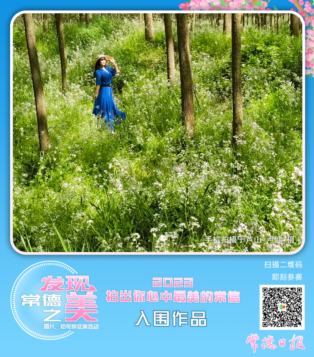 澳门新葡新京在线