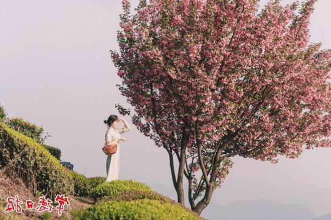 澳门新葡新京在线