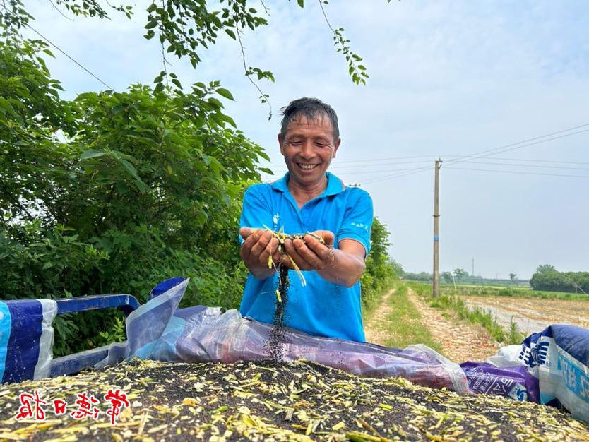 澳门新葡新京在线