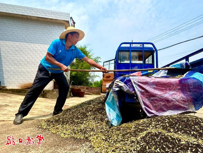 澳门新葡新京在线