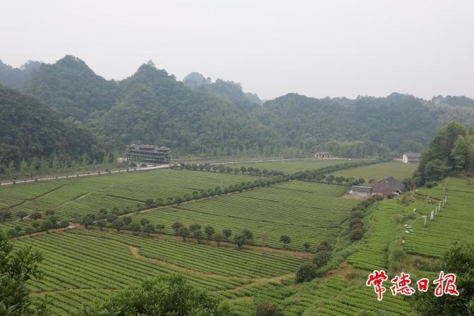 a4859e09cefe4ad2afe434b3606bbdb2.jpg 澳门新葡新京在线