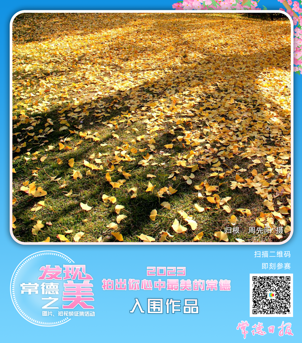 澳门新葡新京在线