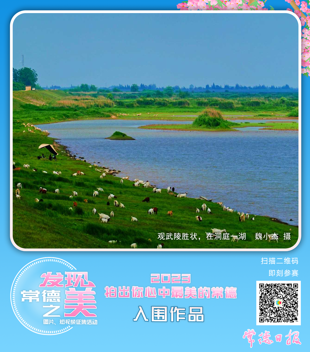 澳门新葡新京在线