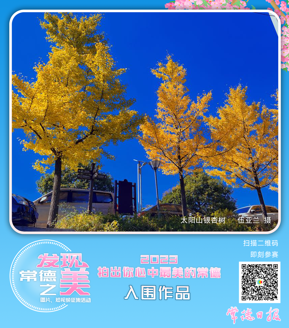 澳门新葡新京在线