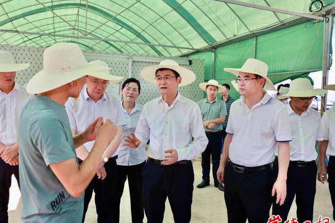 澳门新葡新京在线