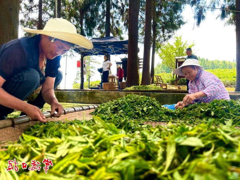 澳门新葡新京在线