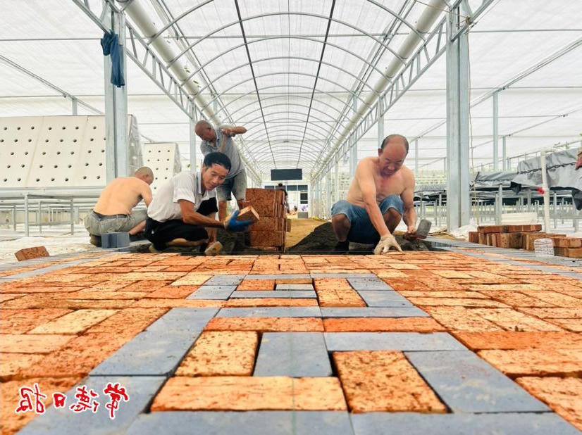 澳门新葡新京在线