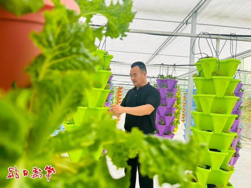 澳门新葡新京在线