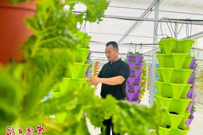 澳门新葡新京在线
