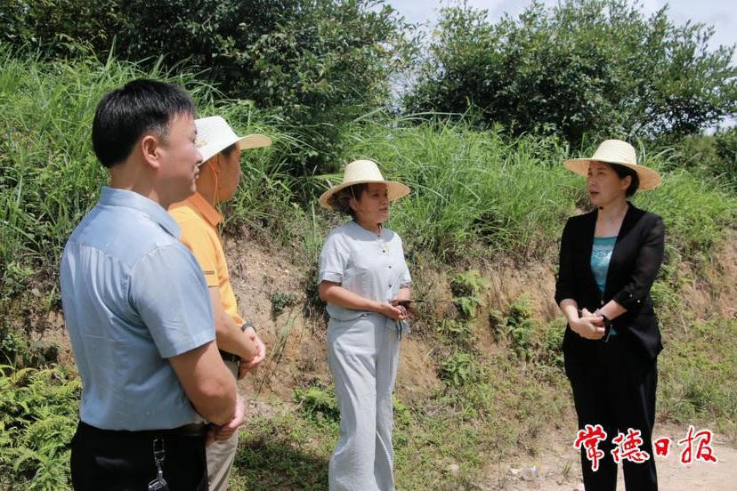 澳门新葡新京在线