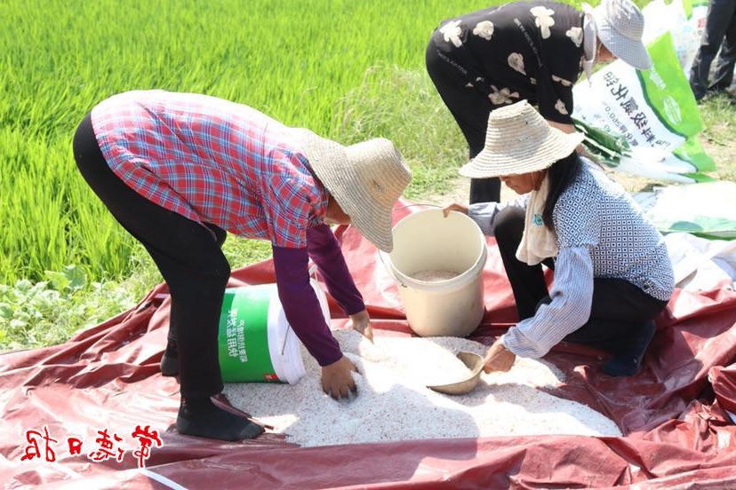 澳门新葡新京在线