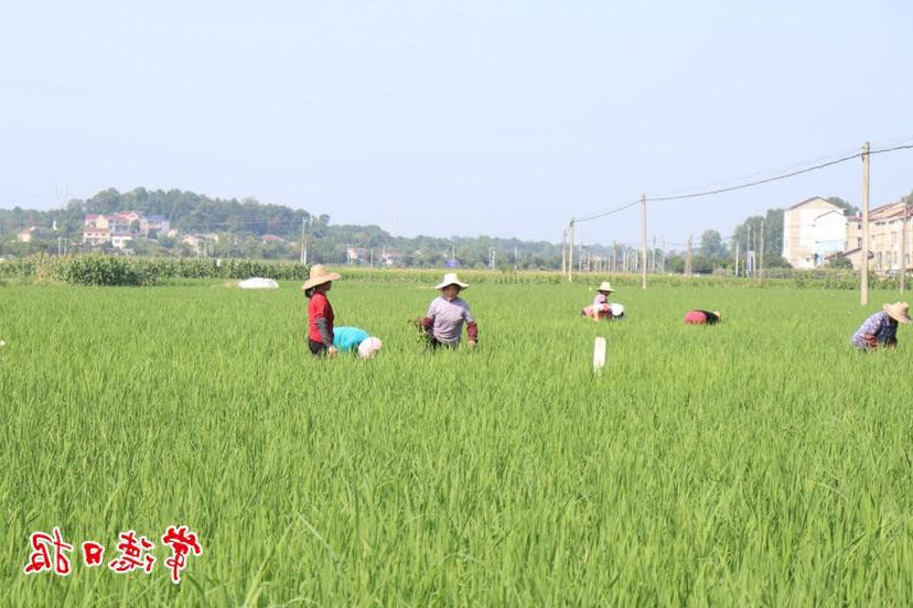 澳门新葡新京在线
