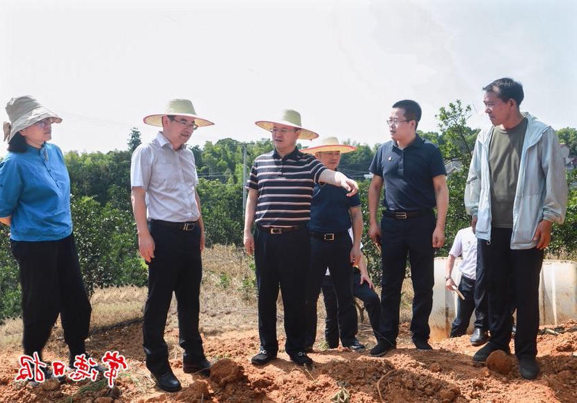 澳门新葡新京在线