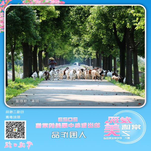 澳门新葡新京在线