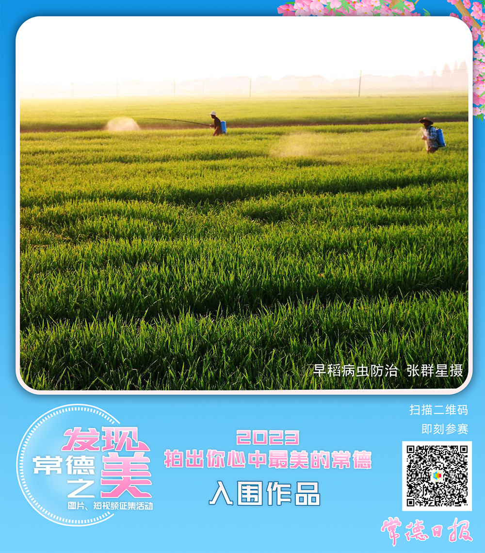 澳门新葡新京在线