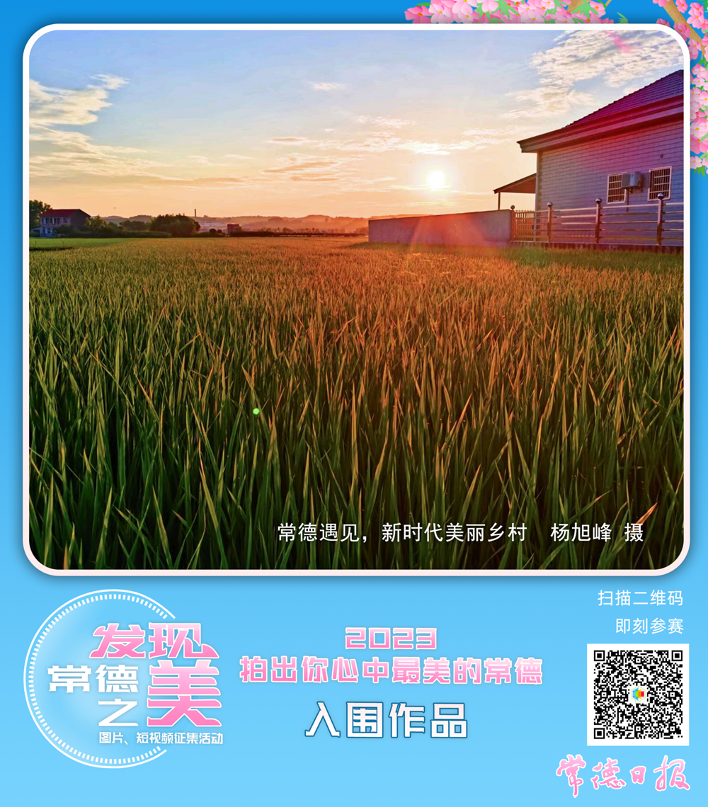 澳门新葡新京在线