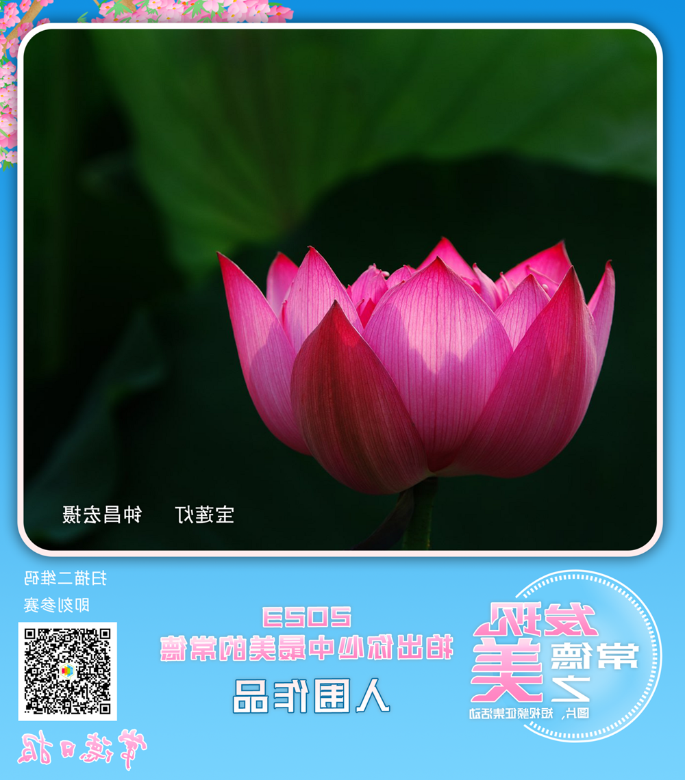 澳门新葡新京在线