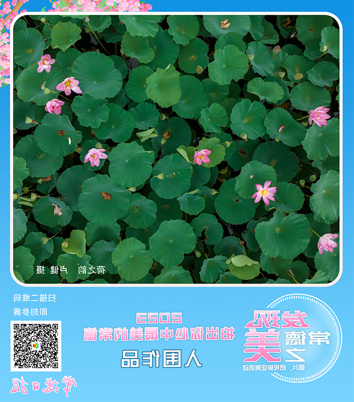 澳门新葡新京在线