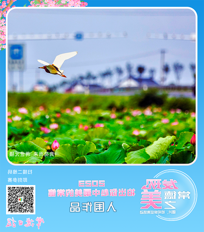 澳门新葡新京在线