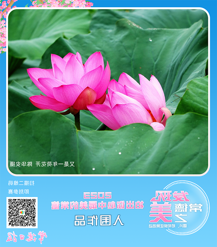 澳门新葡新京在线