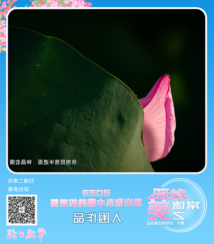 澳门新葡新京在线