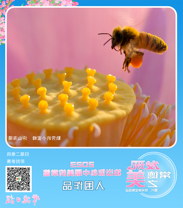 澳门新葡新京在线