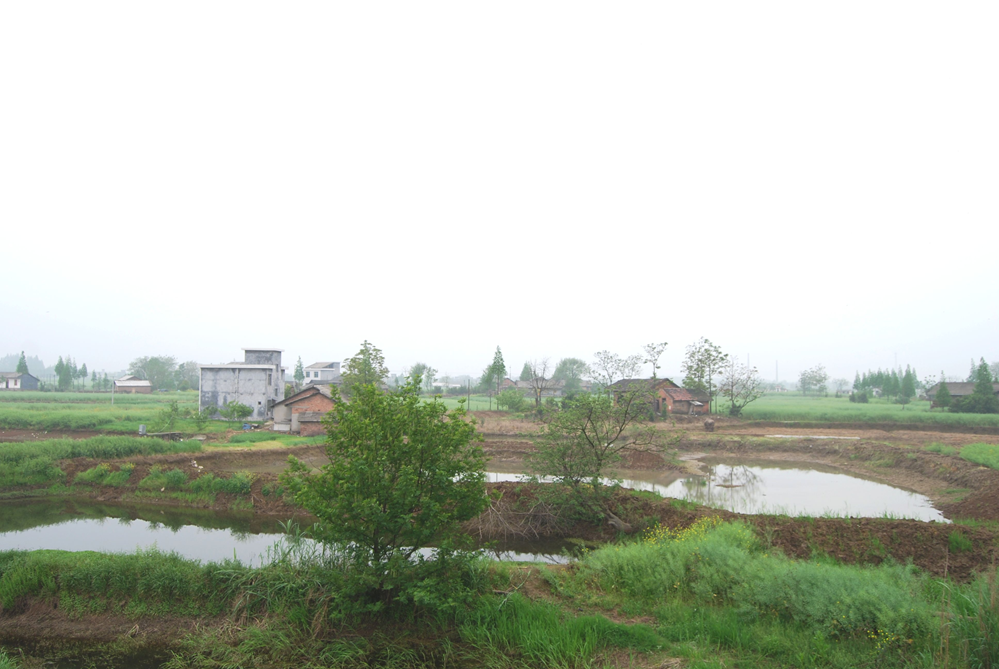 澳门新葡新京在线