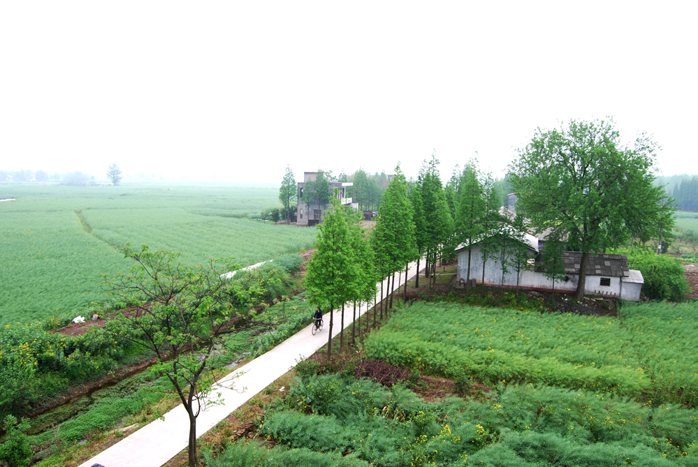 澳门新葡新京在线