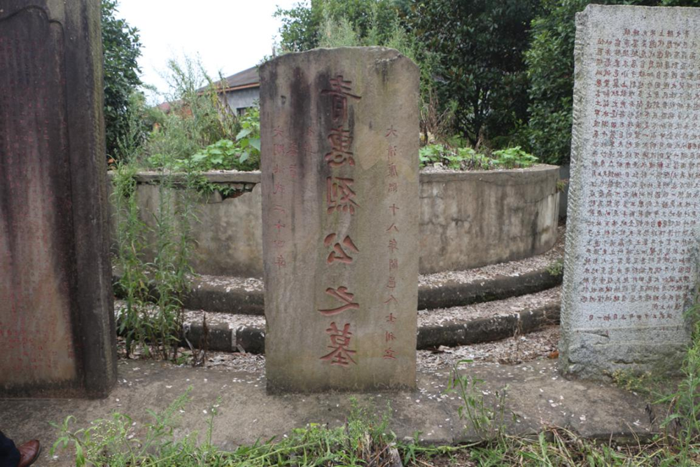 澳门新葡新京在线