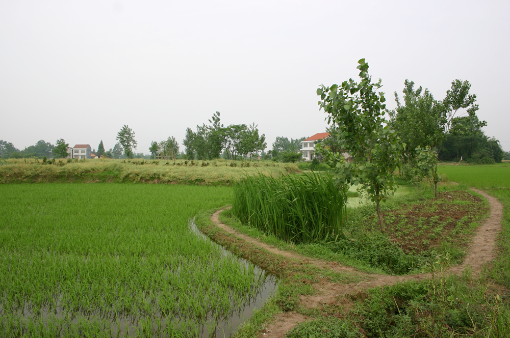 澳门新葡新京在线