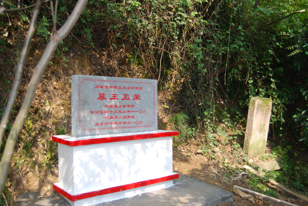 澳门新葡新京在线