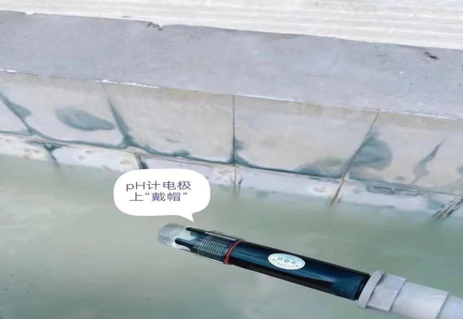 澳门新葡新京在线