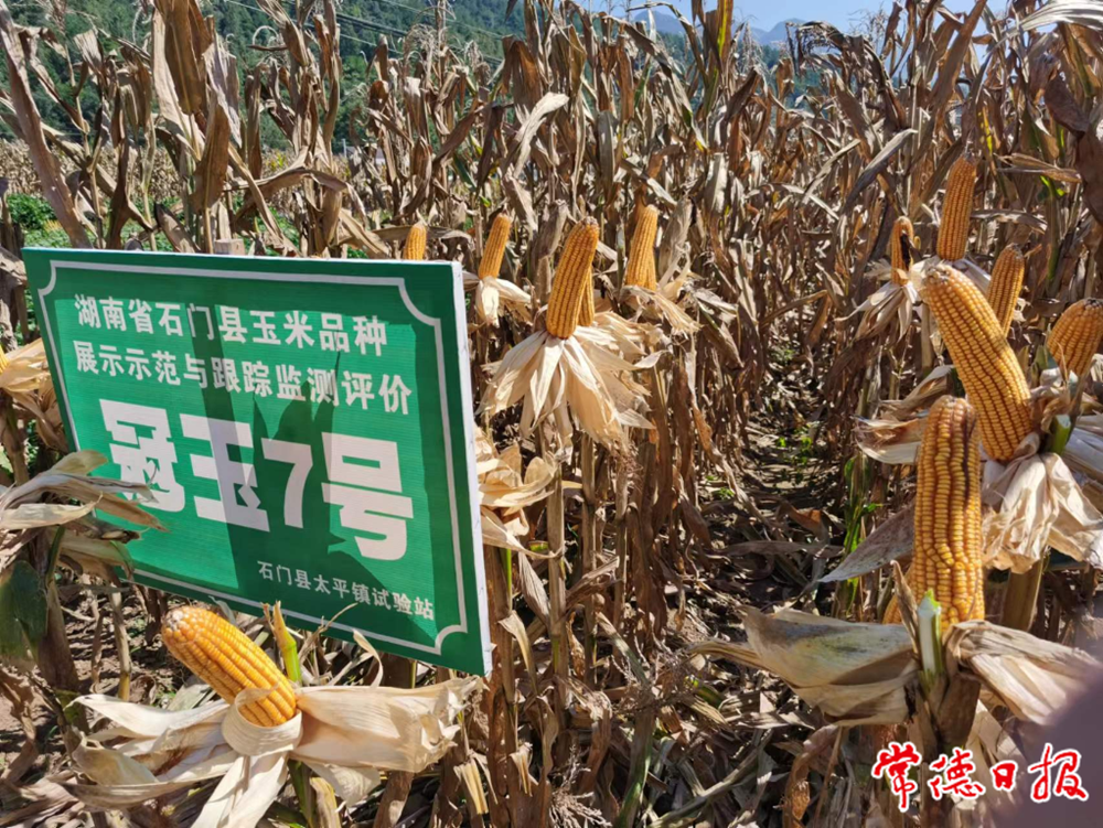 澳门新葡新京在线