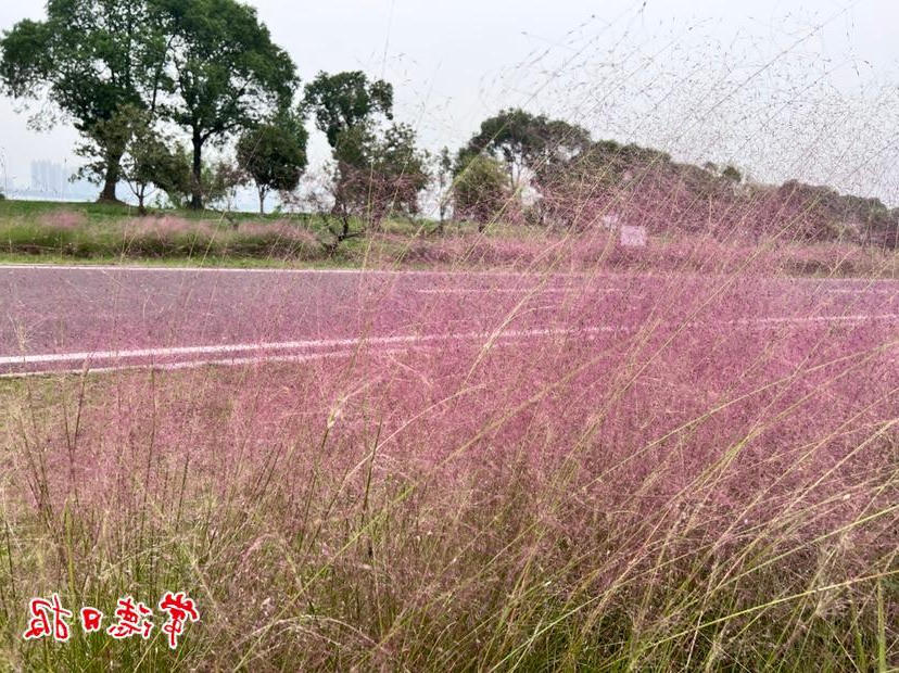 澳门新葡新京在线