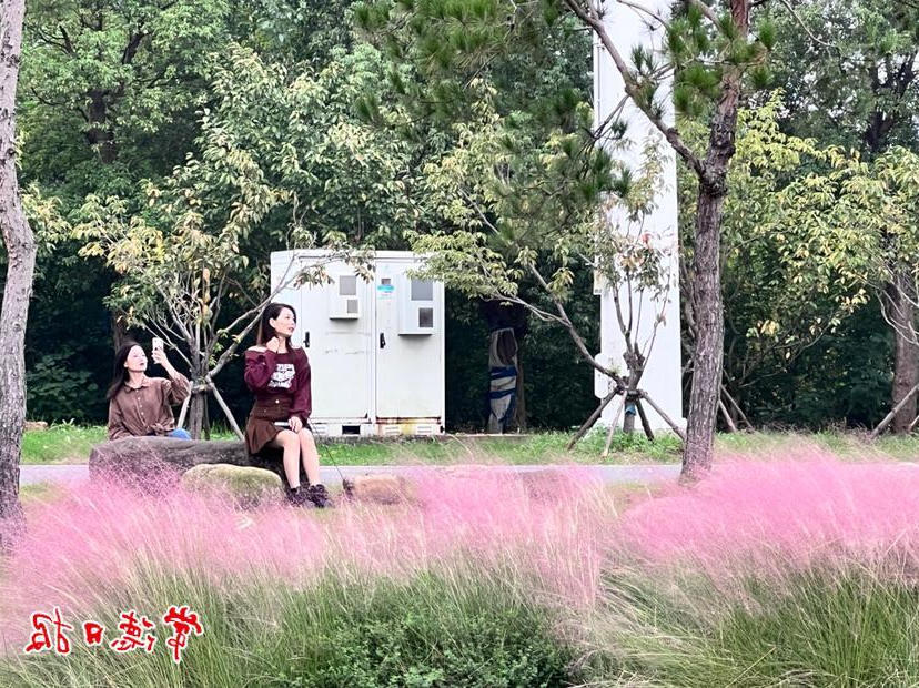 澳门新葡新京在线