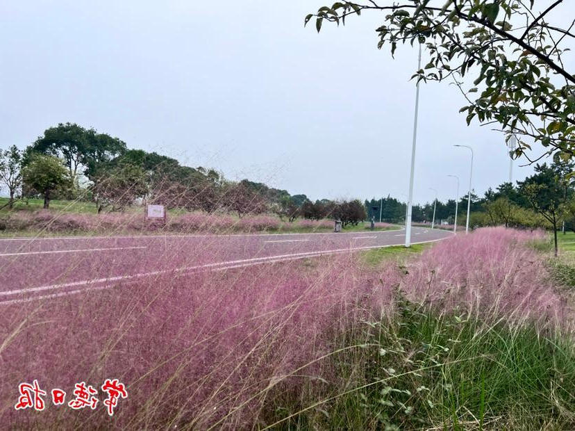 澳门新葡新京在线