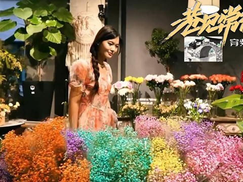 澳门新葡新京在线